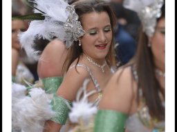 Carnaval de Mula 2014